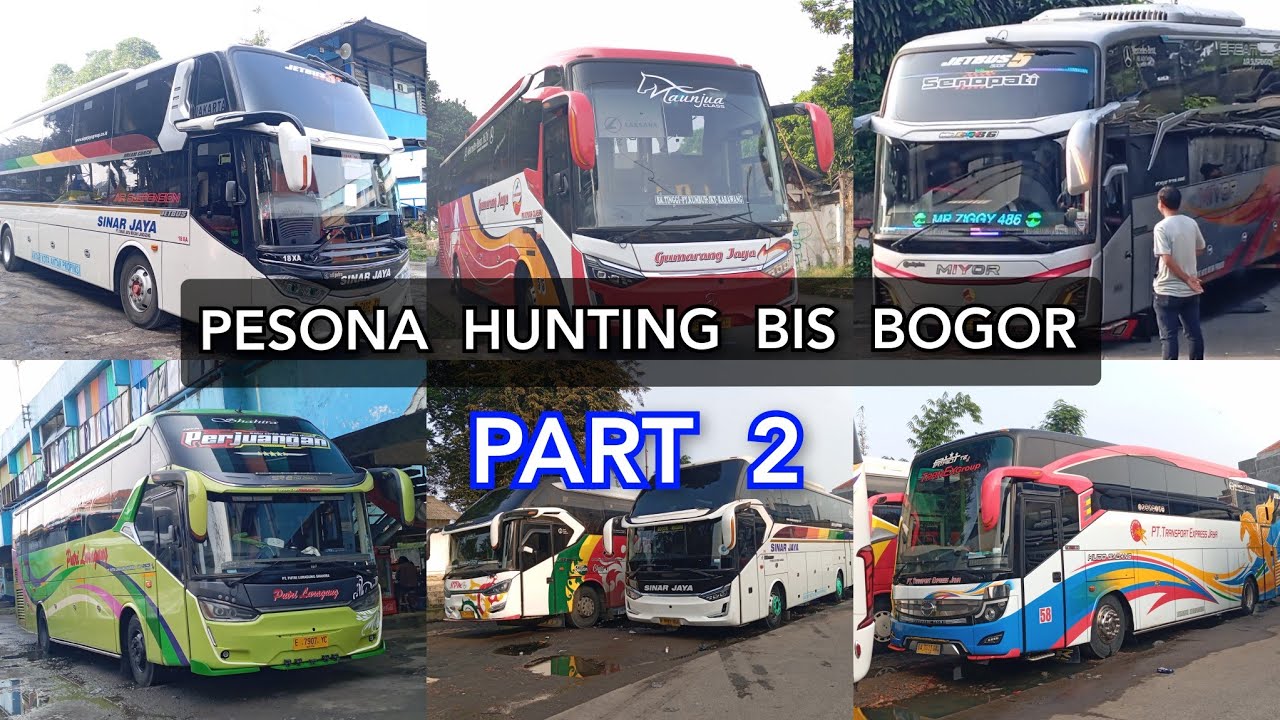 Pesona Hunting Bis Bogor Part 2