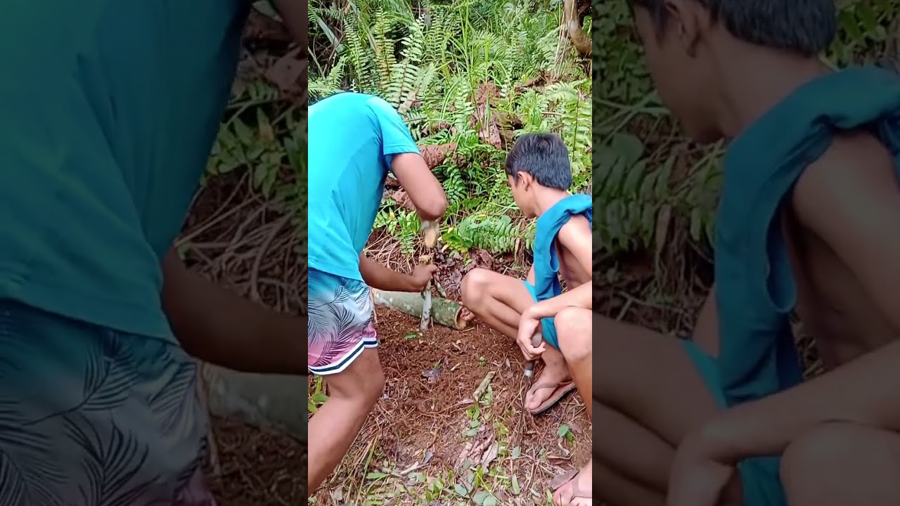 na naan og halo 😁😊