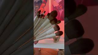 Morphe X Ariel Brush Set Dupe | JESSUP BRUSH SET | AMAZON FIND | TIKTOK MADE ME BUY IT