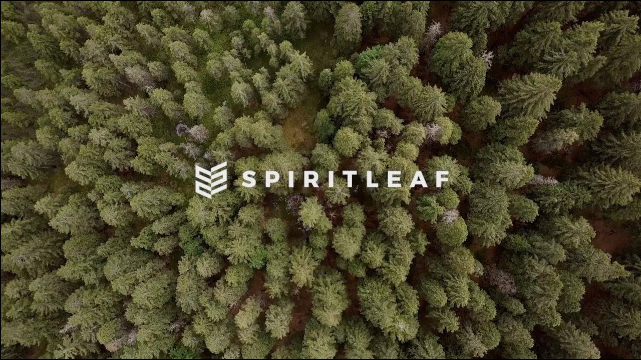 Spiritleaf Manifesto YouTube