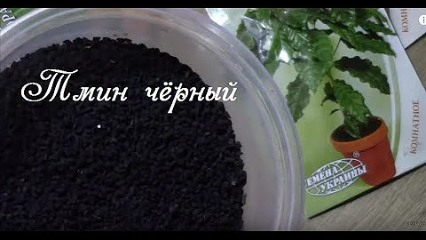 Тмин чёрный. Как прорастить семена для рассады?
