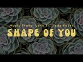 Shape of You - Music Travel Love ft. Jada Facer (Lyric)