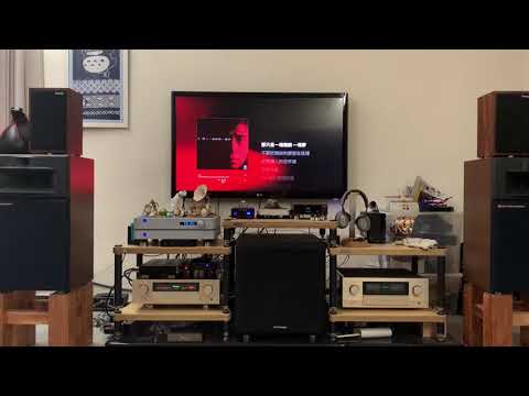 王傑-一場遊戲一場夢 apple music 高保真