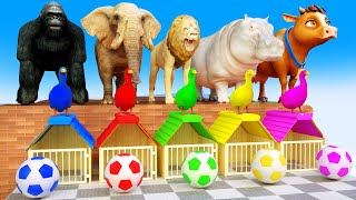 5 Giant Duck, Monkey, Piglet, chicken, tiger, cat, cow, Sheep, Transfiguration funny animal 2024