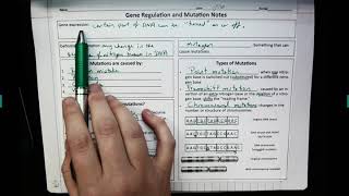 DNA Mutation notes