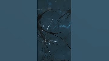 The Universe: A Cosmic Puzzle Explained!