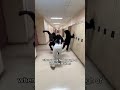 this is not a field trip pick up the pace 😒 #skit #funny #relatable #...
