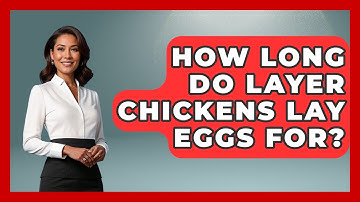 How Long Do Layer Chickens Lay Eggs For? - The World of Agriculture