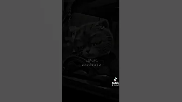 فاتو شهور بعد غيابه 