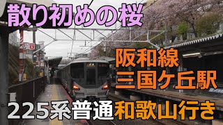 阪和線225系普通和歌山行き 散り初めの桜の下にある三国ケ丘駅に到着