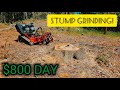 Day in the life of running a stump grinding side hustle