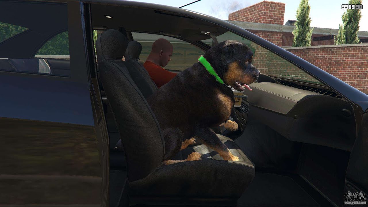 Be animals on gta 5 фото 101