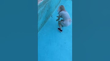 Saved a Snake in a POOL!