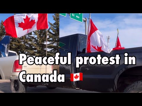 Peaceful protest in Canada ?? || Edmonton yeg 2022