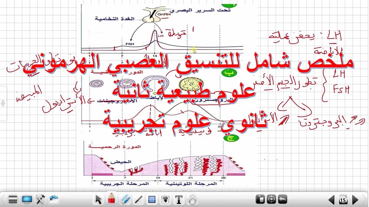 ملخص شامل للتنسيق العصبي الهرموني علوم طبيعية ثانية ثانوي علوم تجريبية