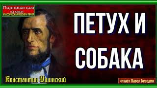 Петух да Собака —Константин Ушинский —читает Павел Беседин