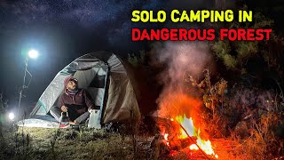 Solo Camping in Uttrakhand forest | Camping and Cooking |Camping in India  @CampingIndia03