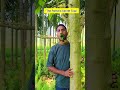 “The Parrot’s Secret Trap” #comedy #funny #funny #parrot #trap