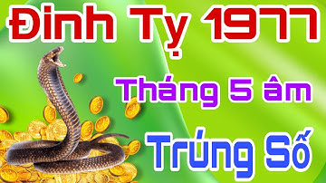 Tháng 5 Âm Lịch - Đinh Tỵ 1977 - Bất Ngờ Nhận Lộc Trời Ban - Trúng Số Đổi Đời - Cực Giàu 2024.