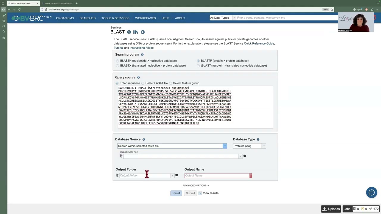 BLASTing against a fasta file