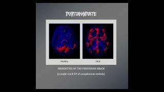 Puritan Opiate - Indignities of the Perfidious Brain (atonal single-track EP)