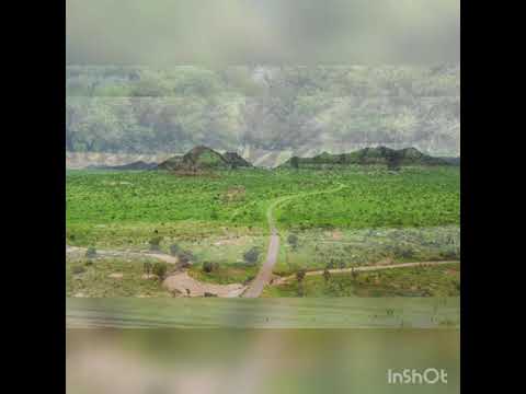 الغنية التي وجدت رواجا في دول المهجر2021 بهواك جد الفنان الياس المليح العازف صديق المليح