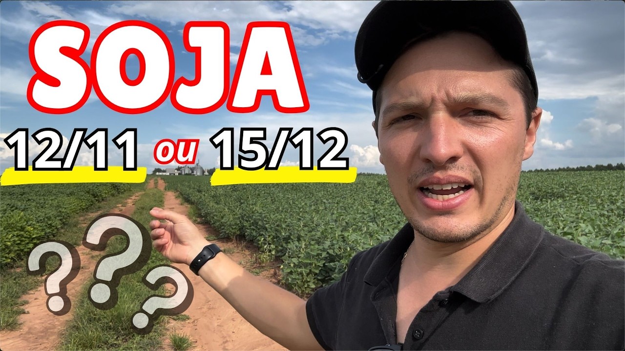 SOJA DE NOVEMBRO OU DEZEMBRO?? Qual vai se sair melhor após a seca??