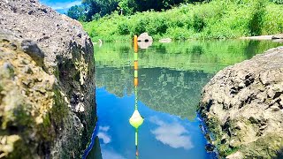 Download Lagu Ganasnya gak ada lawan spot mancing sungai air Tenang ikan Nila Babon Banyak bersembunyi dekat batu MP3