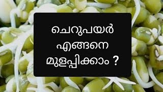 ഇങ്ങനെയാണ് ചെറുപയർ മുളപ്പിക്കുക | How to sprout green gram, moong | Kerala Recipes