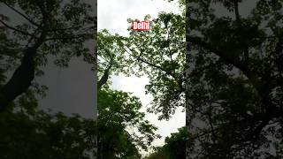 Delhi weather #delhiweather #currentsituation #trendingshorts #viralshorts #1millionviews #mausam