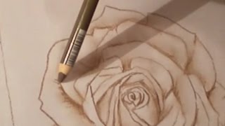 Tutoriel N1 Dessiner Une Rose