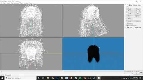 Curly Hair Conversion S4 to S3