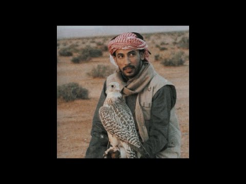 تجميعات محمد بن فطيس بدون موسيقى