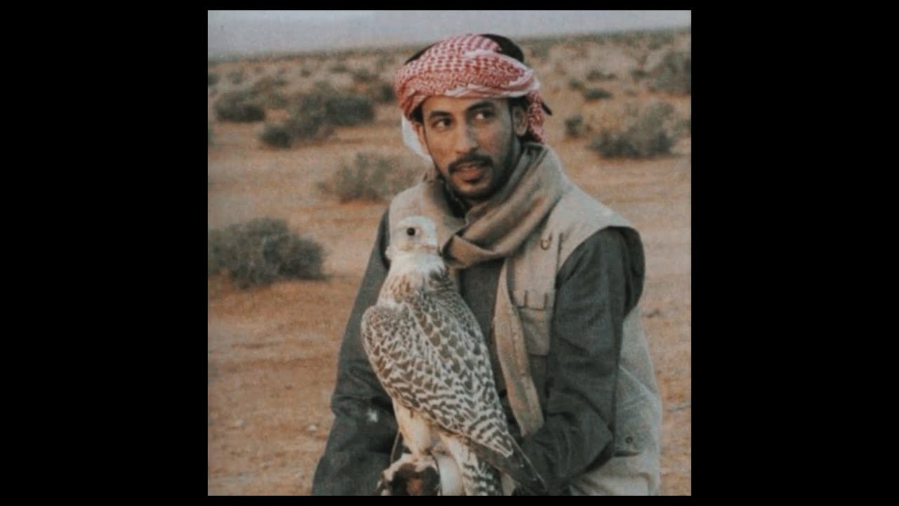 تجميعات محمد بن فطيس بدون موسيقى