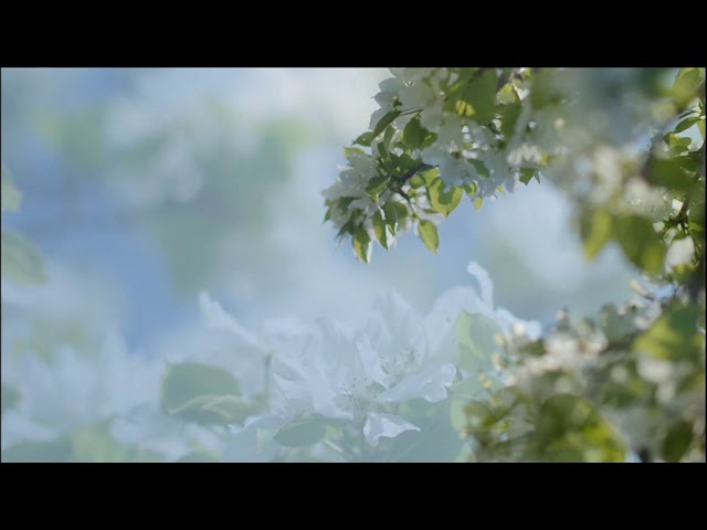 {artistName}의 {trackName} 뮤직 비디오 보기