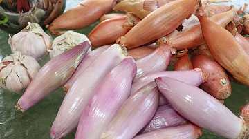 What is the difference between shallots and banana shallots?