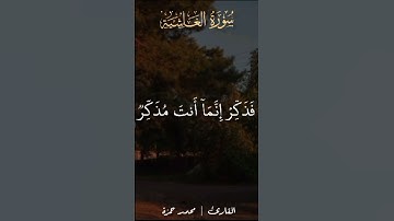أفلا ينظرون إلى الإبل كيف خلقت #قران_كريم #تلاوات #quran #اكسبلور #تلاوة_خاشعة #تلاوه #راحة_نفسية