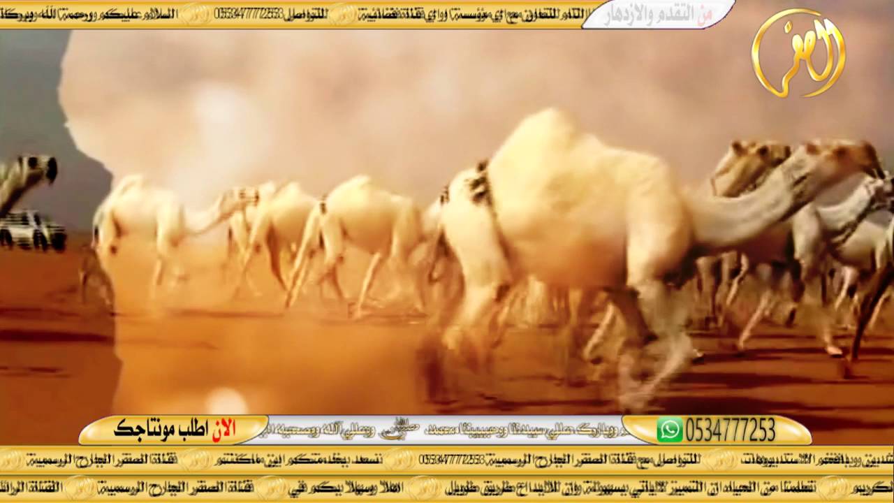 اهداء لعتيبه عامه والادمشيب خاصه والى الشيخ خزام معيض وابناءالشيخ عايض بن دغيثر الشاعرناصرسعد عديس