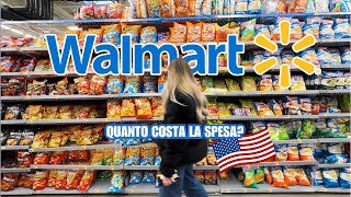 Cosa vendono in un supermercato Americano? TOUR DI WALMART+ SVUOTA LA SPESA