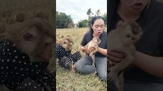 Download Lagu Virale video SokYaa, Sokhaa, Pao en Mom zijn wereldberoemd #shorts MP3