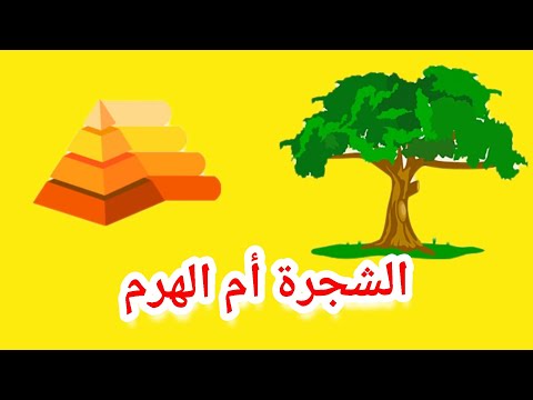 نموذجان لادارة الذات كتاب إدارة الوقت بين التراث و المعاصرة د محمد أمين شحادة