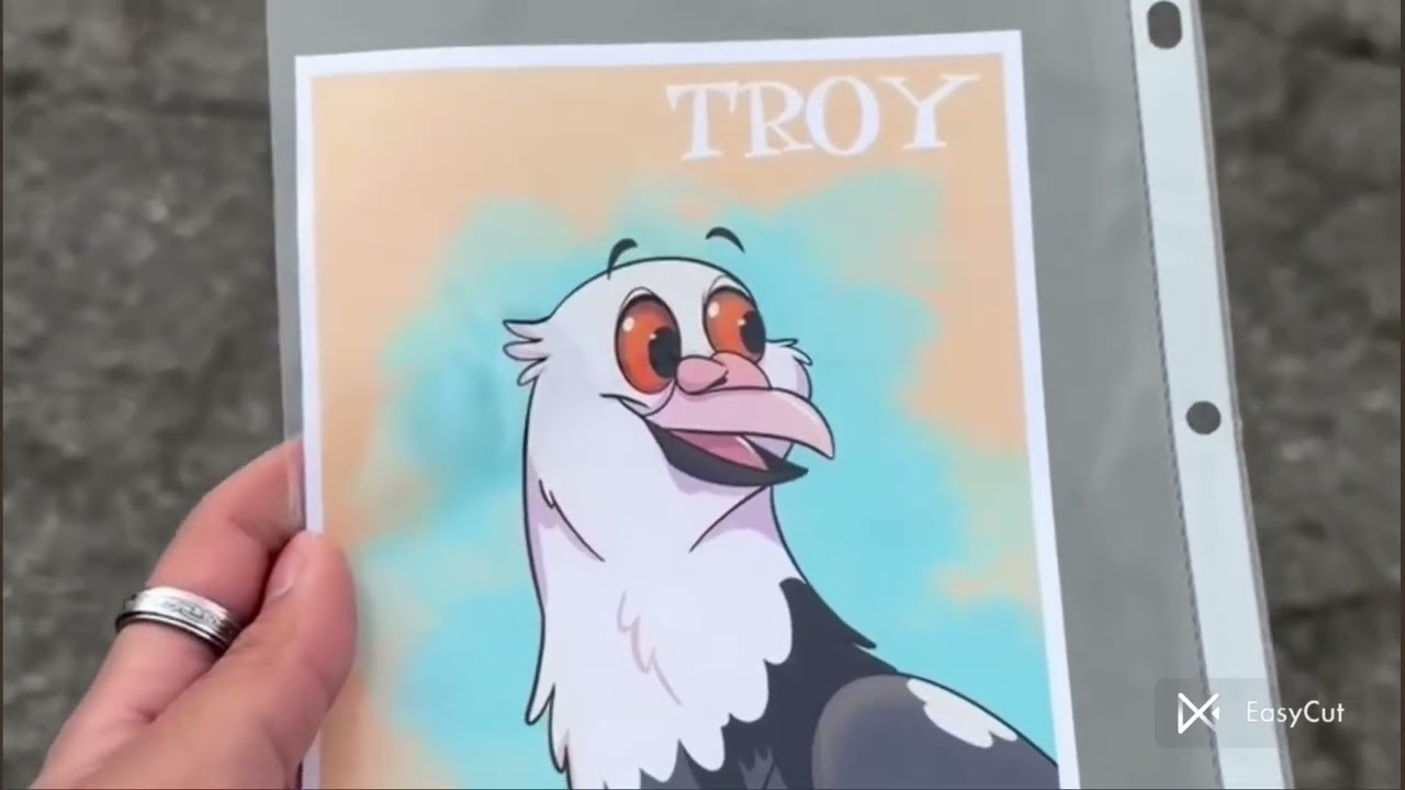 Kabutar ka fashion show Pigeon exibition | Best Exhibition Moments  