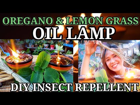 DIY INSECT REPELLENT OIL LAMP / OREGANO & LEMONGRASS OIL