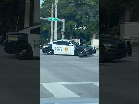 Miami Dade Police Dodge Chargers #random #cars #police #cops #miami #florida #emergency #reels