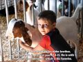 Daviess County 4-H Show 2017