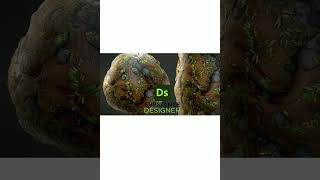 Stylized Muddy Ground - Substance 3D Designer