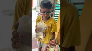 Plattyஅ😅பாதி✅விலைக்கு‼️வித்தாச்சி #fish #pets #guppy #outdoor #male #female #petscorner #தமிழ்