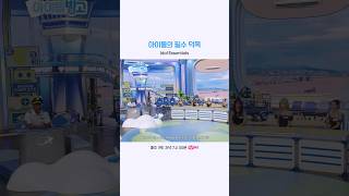 아이돌의 필수 덕목