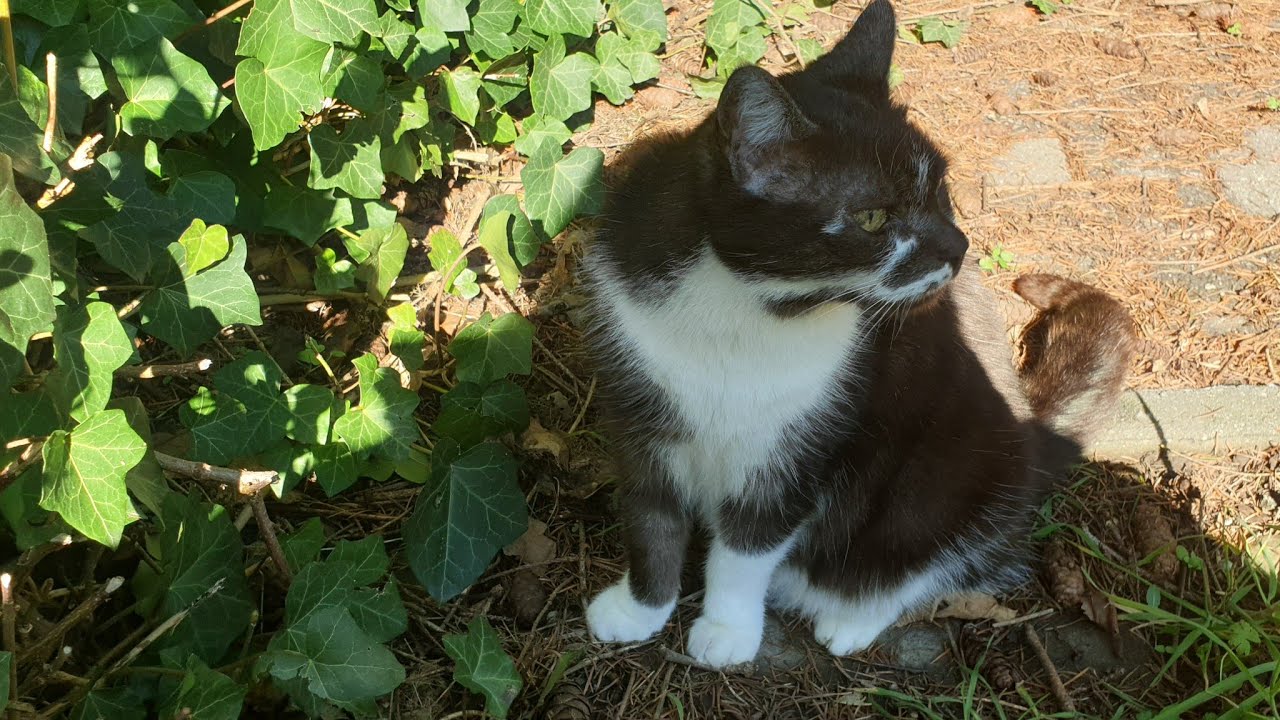 Ma Famille Toxique, Narcissique
