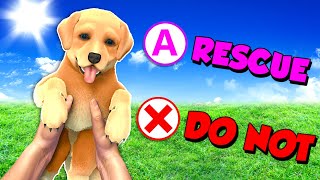 Rescuing a Homeless DOG in House Flipper Gameplay!